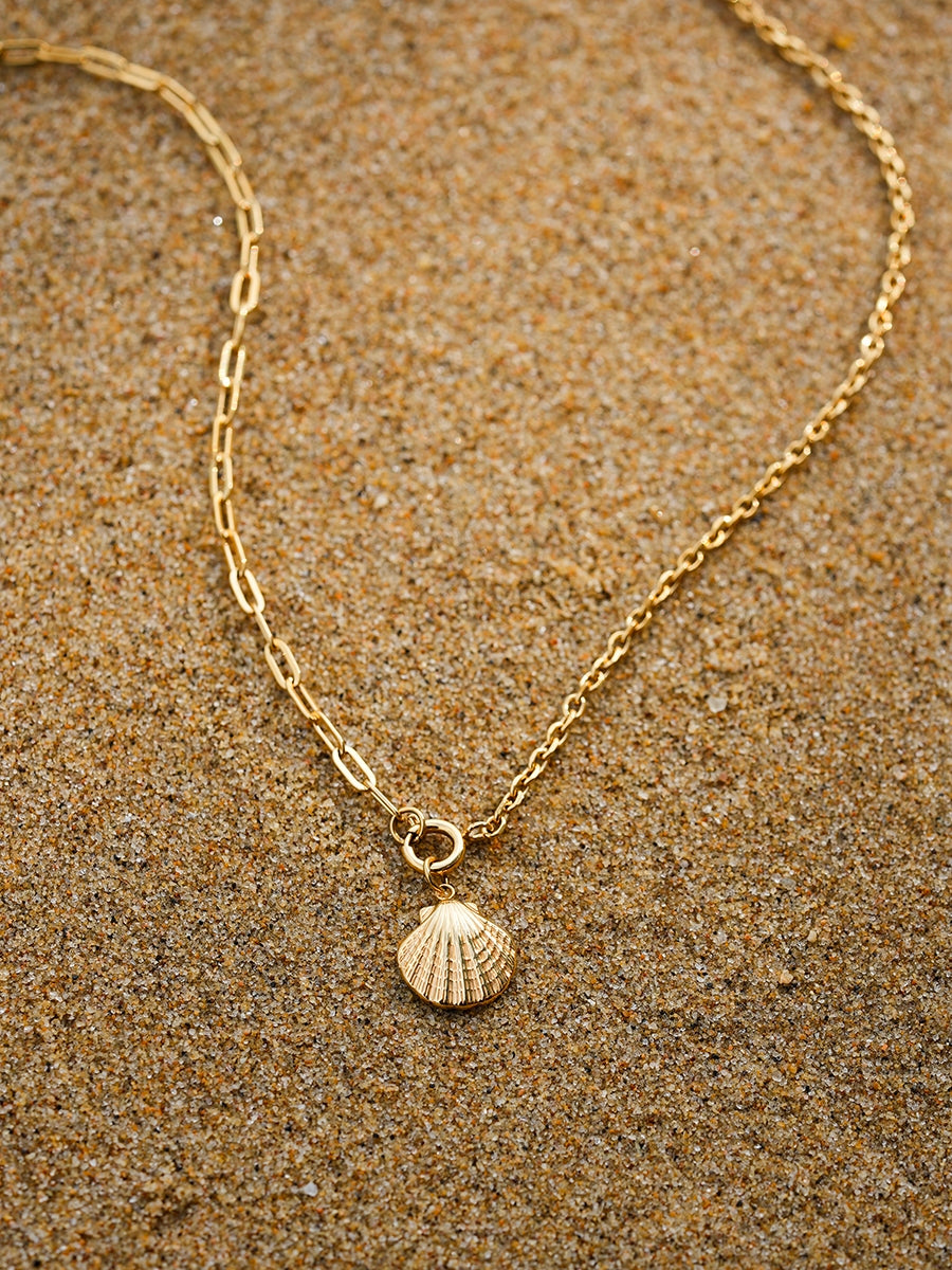Collar de Conchas Naturales