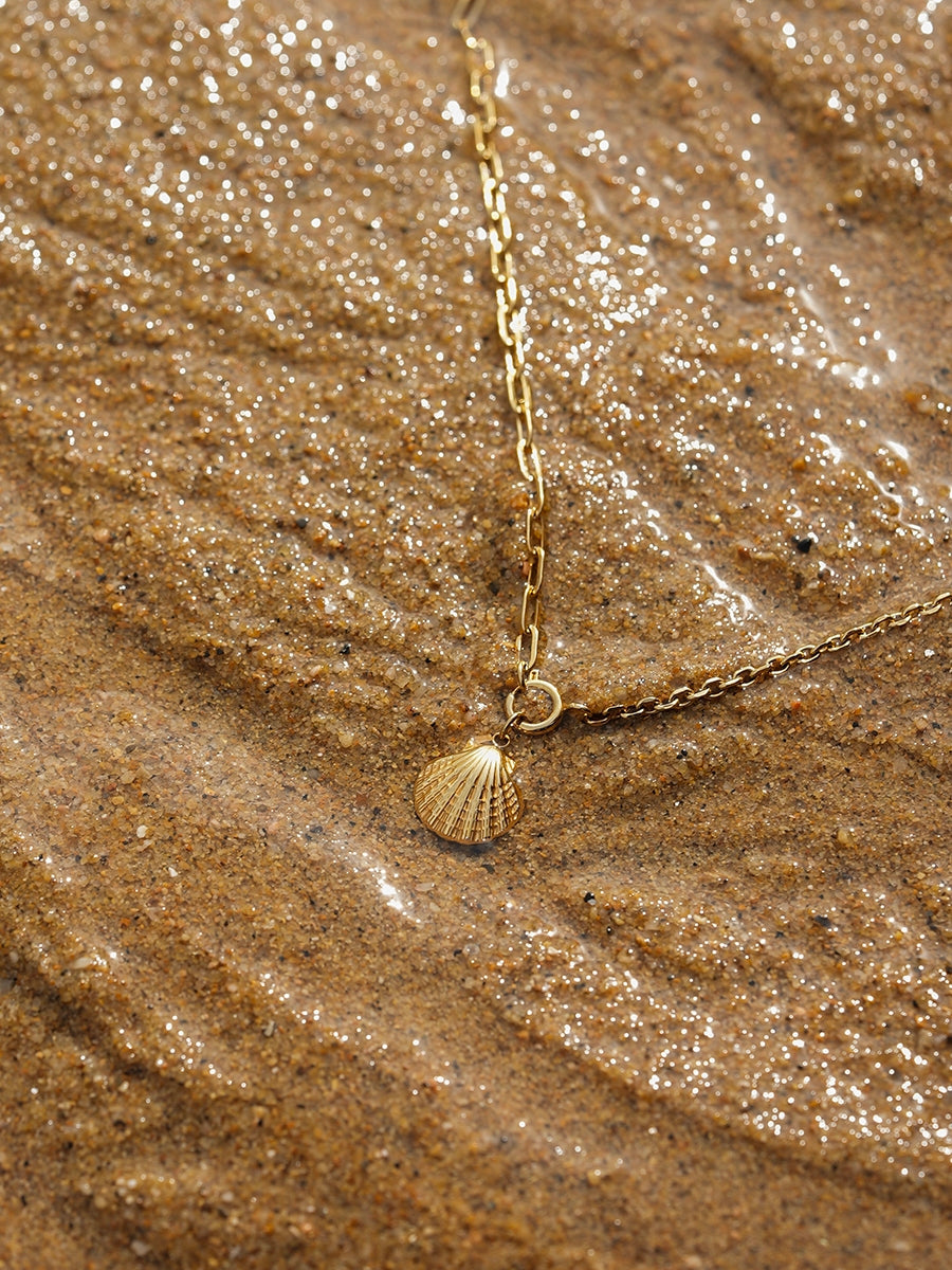 Collar de Conchas Naturales