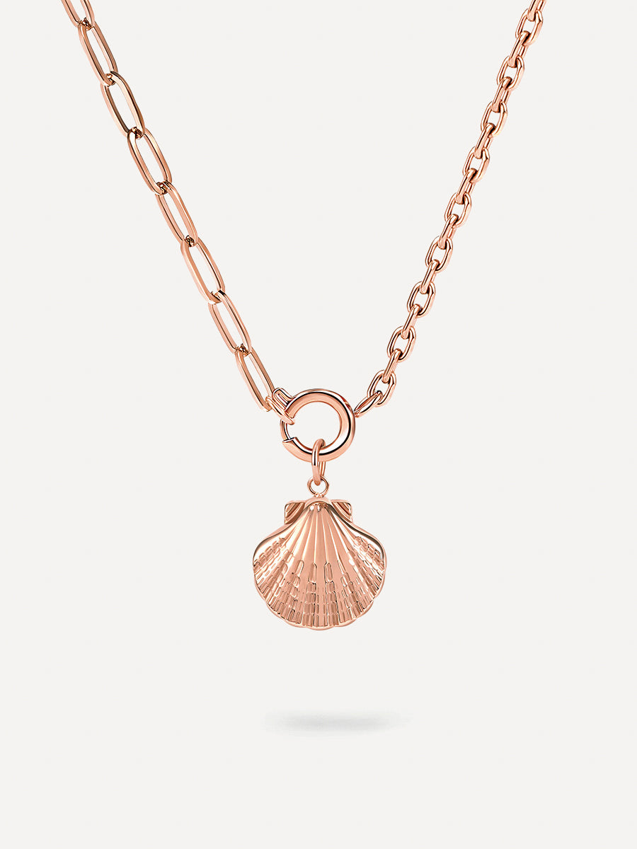 Collar de Conchas Naturales