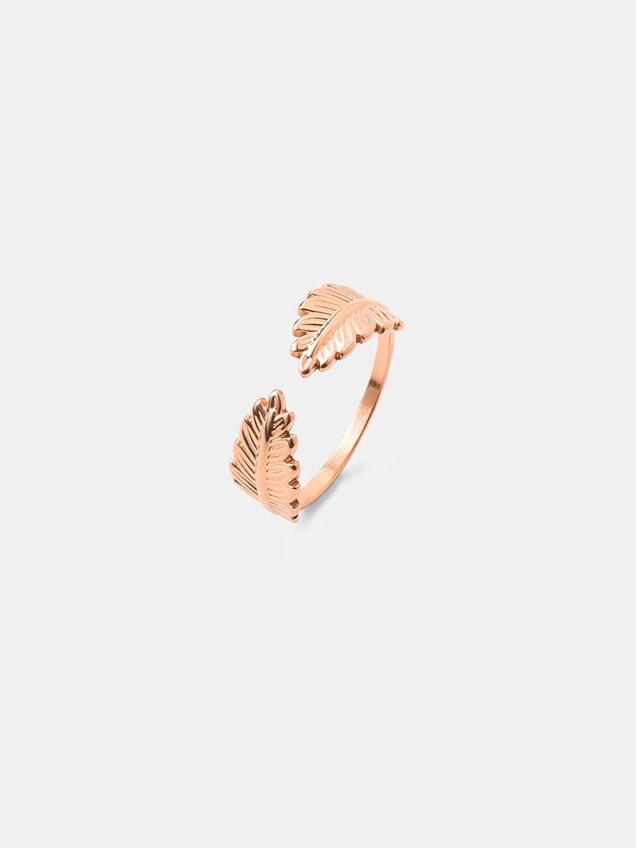 Anillo con Diseño de Alas