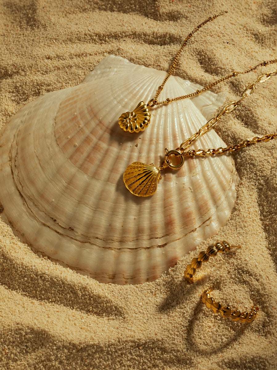 Collar de Conchas Naturales